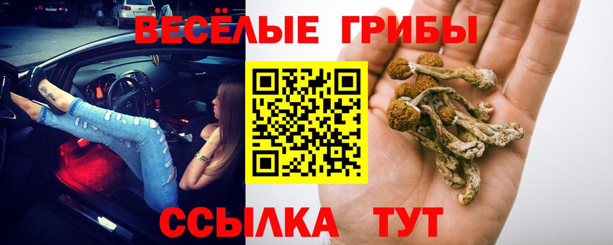 Псилоцибиновые грибы Magic Shrooms Мурманск